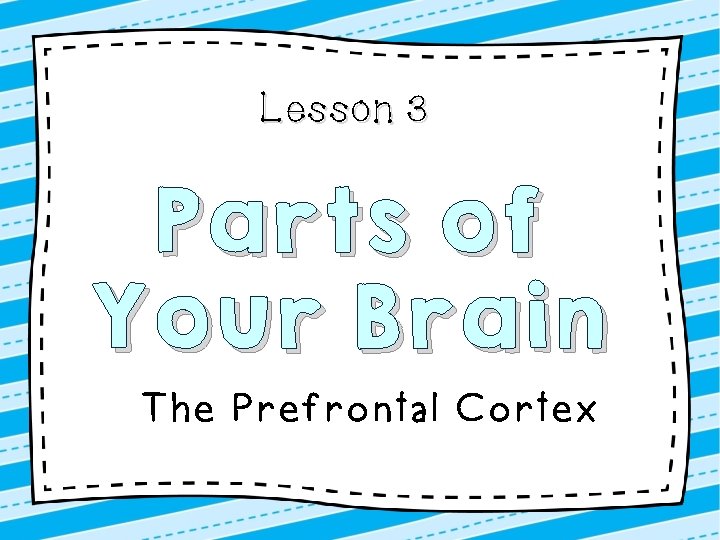 Lesson 3 Parts of Your Brain The Prefrontal Cortex 