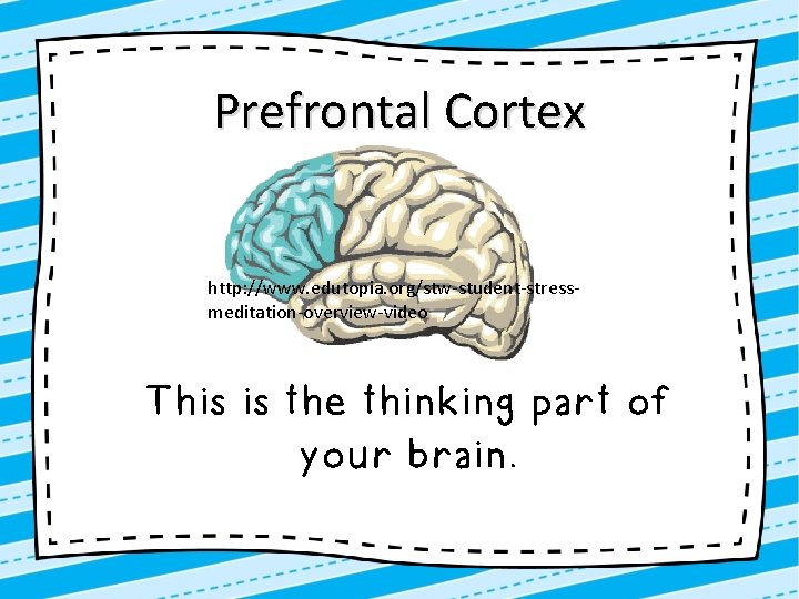 Prefrontal Cortex http: //www. edutopia. org/stw-student-stressmeditation-overview-video This is the thinking part of your brain.