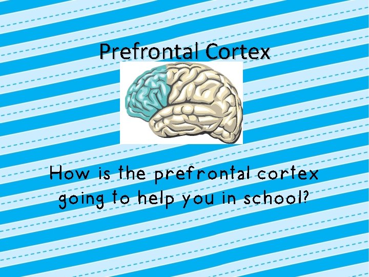 Prefrontal Cortex How is the prefrontal cortex going to help you in school? 