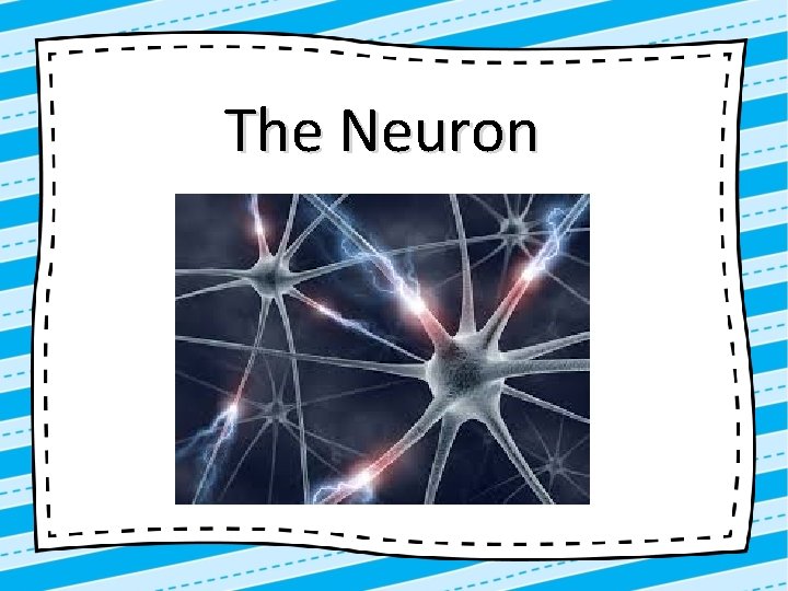 The Neuron 