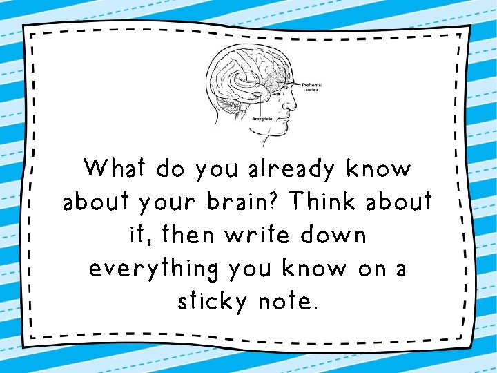 What do you already know about your brain? Think about it, then write down