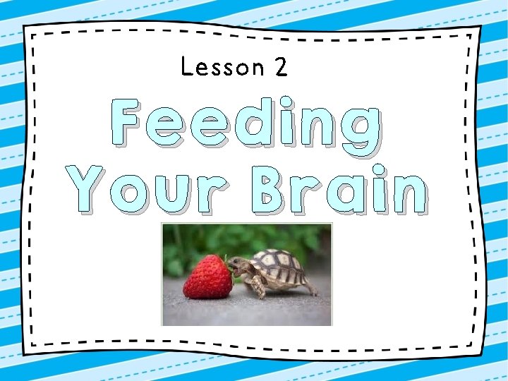Lesson 2 Feeding Your Brain 
