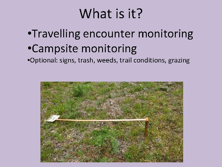 What is it? • Travelling encounter monitoring • Campsite monitoring • Optional: signs, trash,