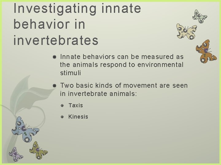 Investigating innate behavior in invertebrates Innate behaviors can be measured as the animals respond