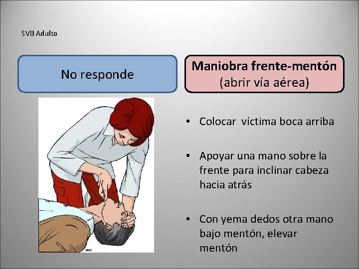 SVB Adulto No responde Maniobra frente-mentón (abrir vía aérea) • Colocar víctima boca arriba