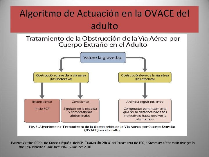 Algoritmo de Actuación en la OVACE del adulto Fuente: Versión Oficial del Consejo Español