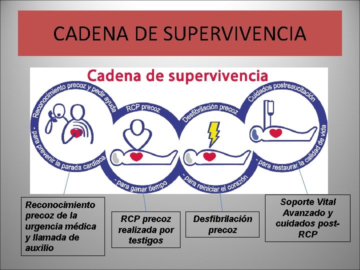 CADENA DE SUPERVIVENCIA Reconocimiento precoz de la urgencia médica y llamada de auxilio RCP