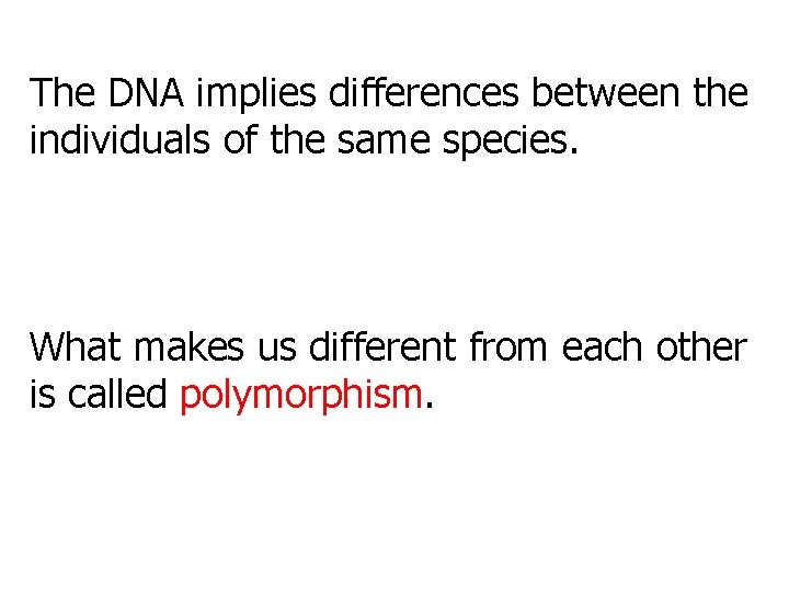 The DNA implies differences between the individuals of the same species. What makes us