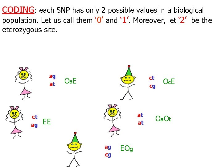 CODING: each SNP has only 2 possible values in a biological population. Let us