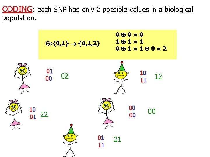 CODING: CODING each SNP has only 2 possible values in a biological population. :