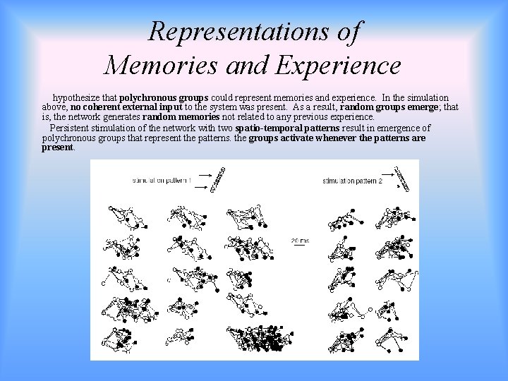 Representations of Memories and Experience hypothesize that polychronous groups could represent memories and experience.