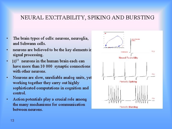 NEURAL EXCITABILITY, SPIKING AND BURSTING • • • The brain types of cells: neurons,