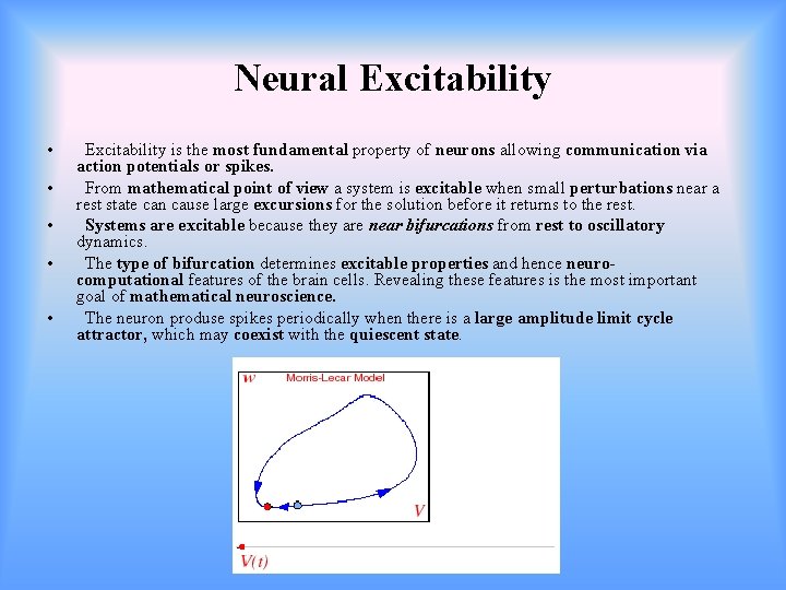  Neural Excitability • • • Excitability is the most fundamental property of neurons