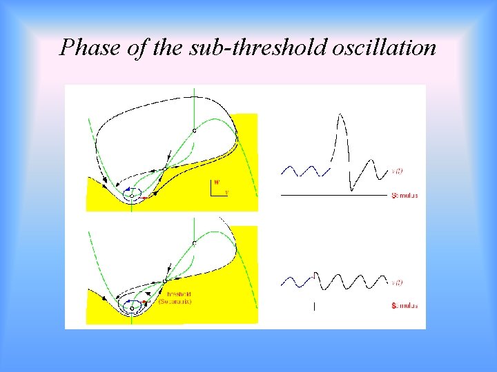Phase of the sub-threshold oscillation 