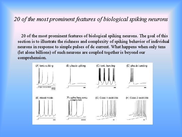 20 of the most prominent features of biological spiking neurons 20 of the most