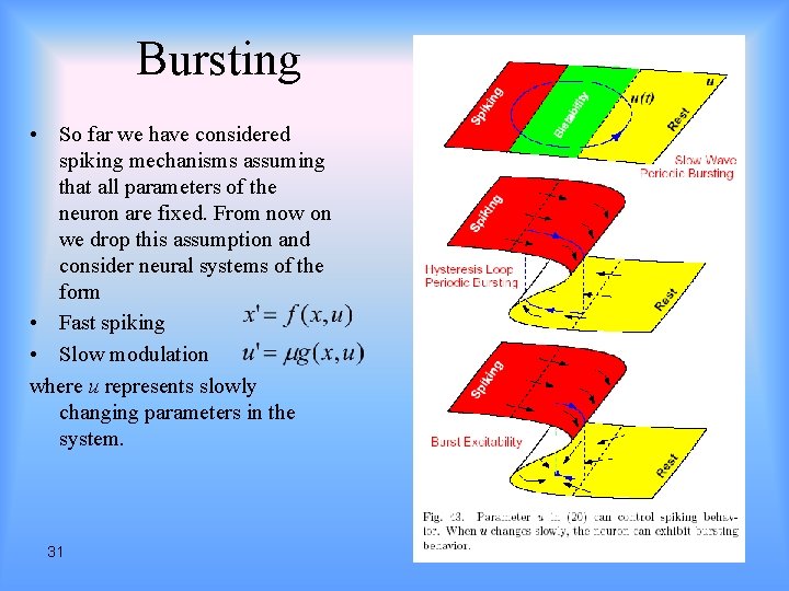 Bursting • So far we have considered spiking mechanisms assuming that all parameters of