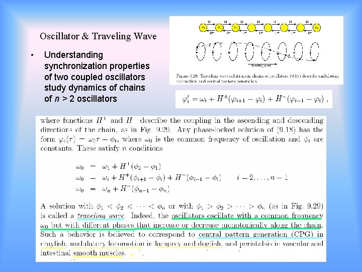 Oscillator & Traveling Wave • Understanding synchronization properties of two coupled oscillators study dynamics