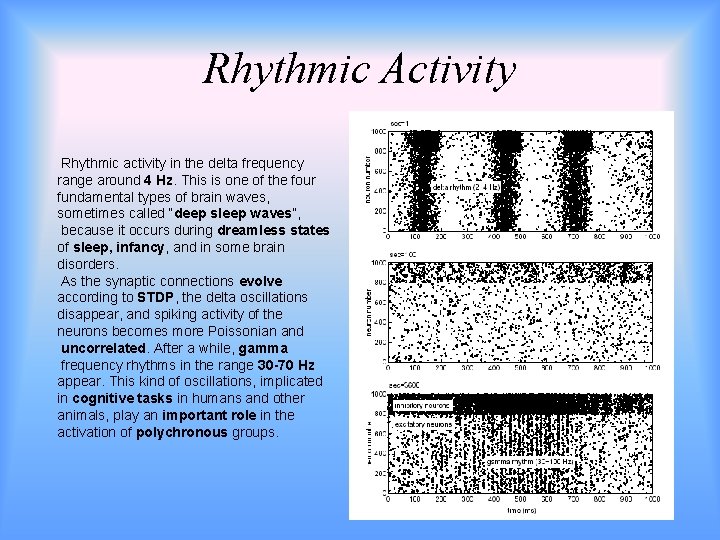 Rhythmic Activity Rhythmic activity in the delta frequency range around 4 Hz. This is