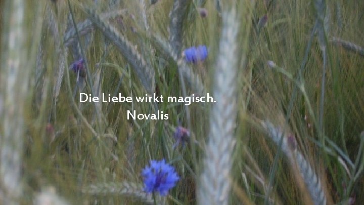 Die Liebe wirkt magisch. Novalis 