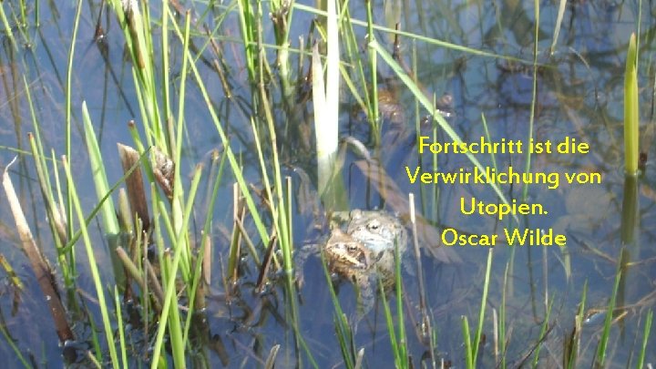 Fortschritt ist die Verwirklichung von Utopien. Oscar Wilde 