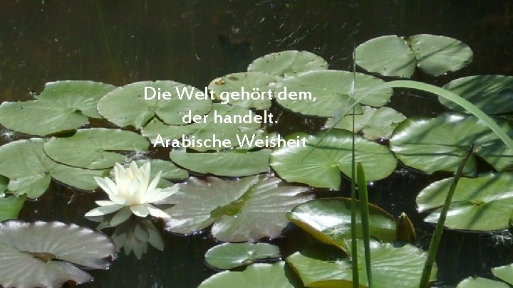 Die Welt gehört dem, der handelt. Arabische Weisheit 