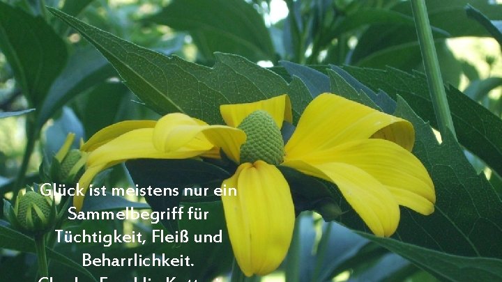 Glück ist meistens nur ein Sammelbegriff für Tüchtigkeit, Fleiß und Beharrlichkeit. 