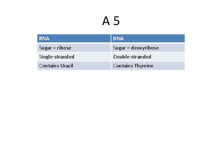 A 5 RNA DNA Sugar = ribose Sugar = deoxyribose Single-stranded Double-stranded Contains Uracil