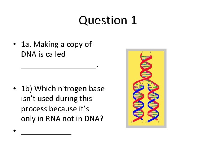 Question 1 • 1 a. Making a copy of DNA is called _________. •