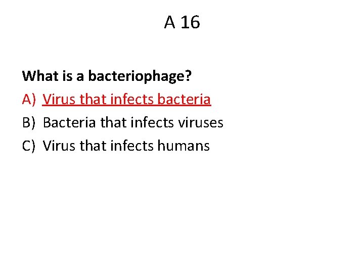 A 16 What is a bacteriophage? A) Virus that infects bacteria B) Bacteria that