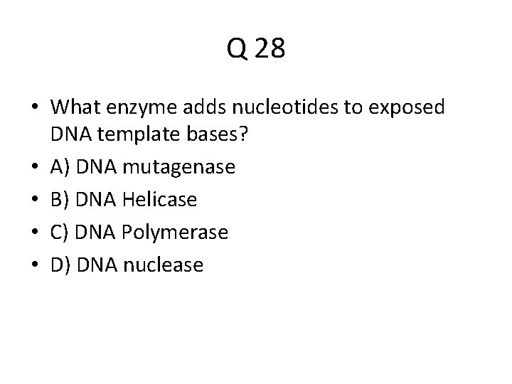 Q 28 • What enzyme adds nucleotides to exposed DNA template bases? • A)
