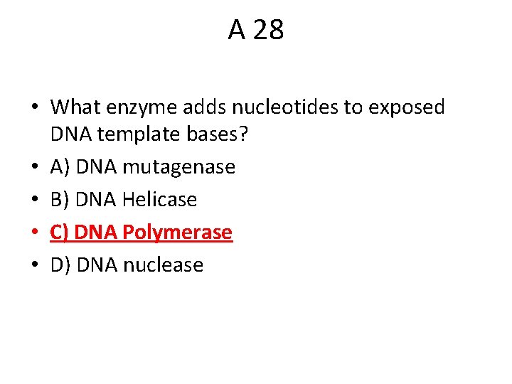 A 28 • What enzyme adds nucleotides to exposed DNA template bases? • A)