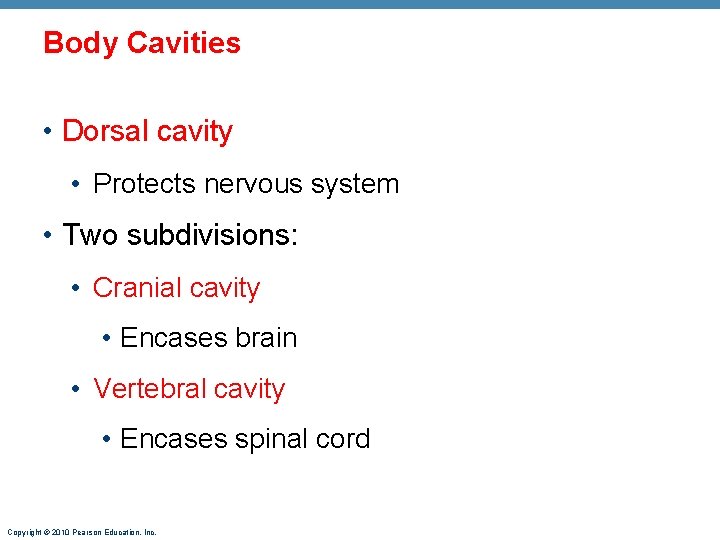 Body Cavities • Dorsal cavity • Protects nervous system • Two subdivisions: • Cranial