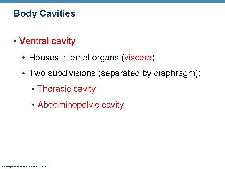 Body Cavities • Ventral cavity • Houses internal organs (viscera) • Two subdivisions (separated