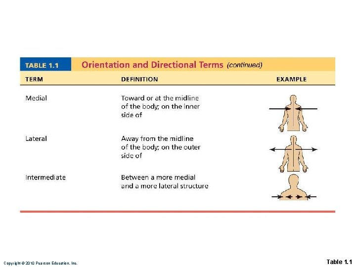 Copyright © 2010 Pearson Education, Inc. Table 1. 1 