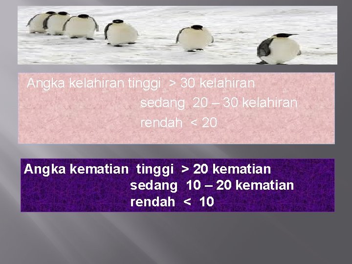 Angka kelahiran tinggi > 30 kelahiran sedang 20 – 30 kelahiran rendah < 20