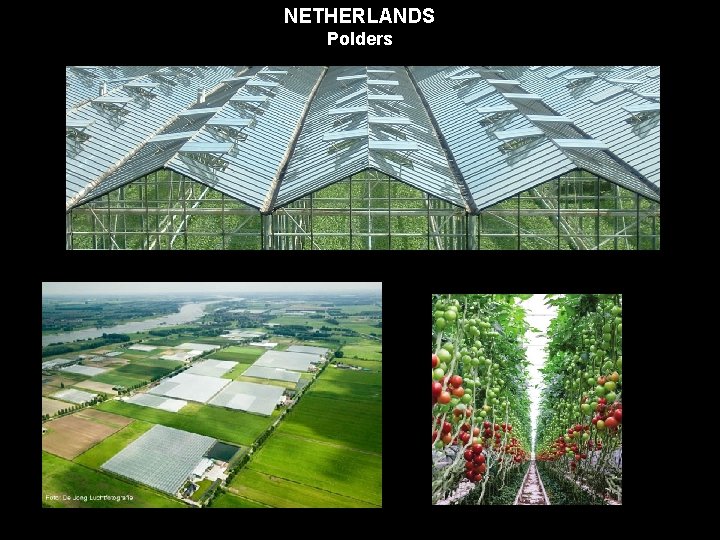 NETHERLANDS Polders 