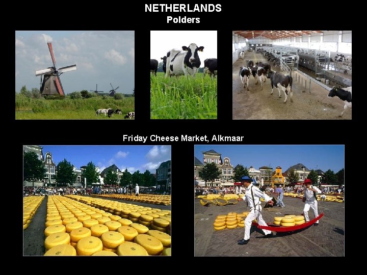 NETHERLANDS Polders Friday Cheese Market, Alkmaar 