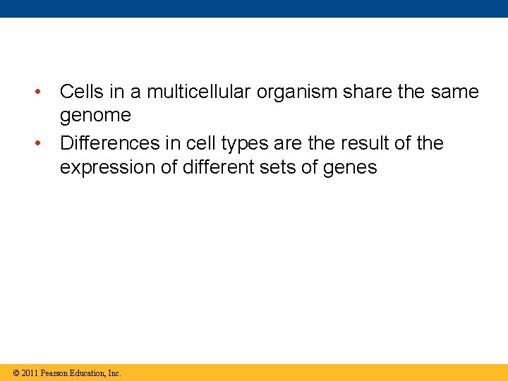  • Cells in a multicellular organism share the same genome • Differences in