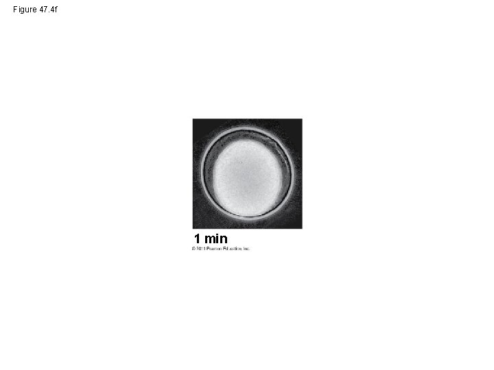 Figure 47. 4 f 1 min 
