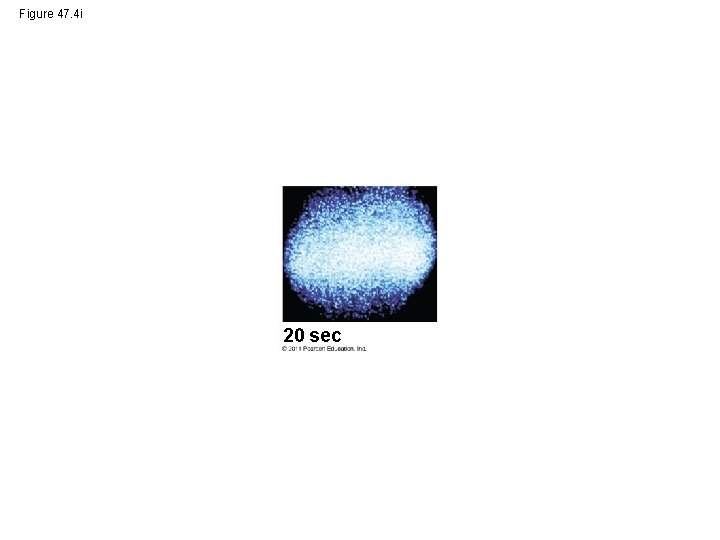 Figure 47. 4 i 20 sec 