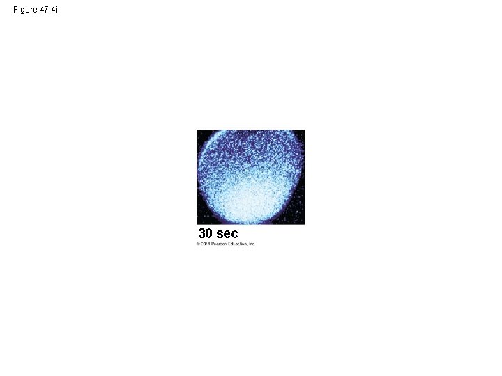 Figure 47. 4 j 30 sec 