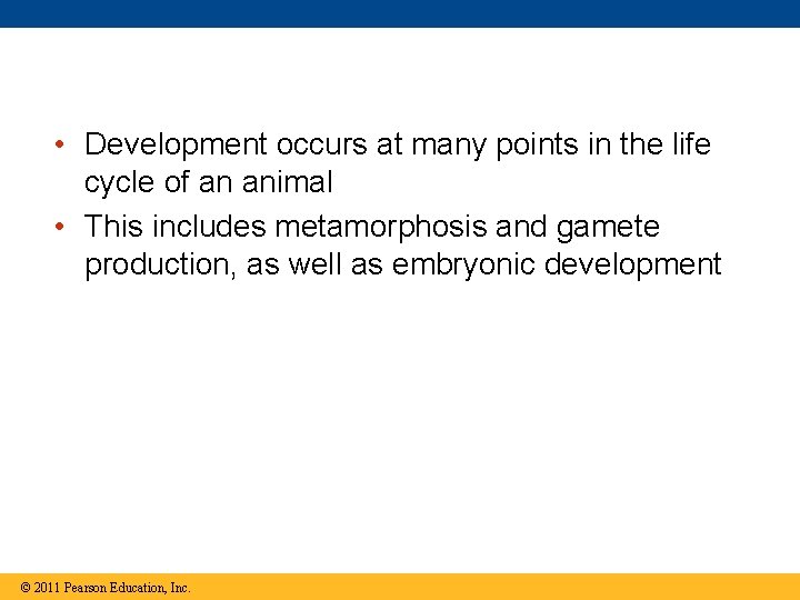  • Development occurs at many points in the life cycle of an animal