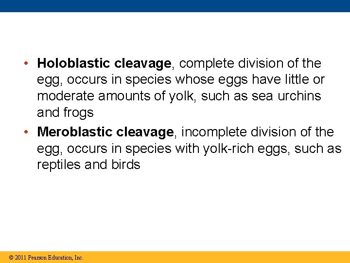  • Holoblastic cleavage, complete division of the egg, occurs in species whose eggs