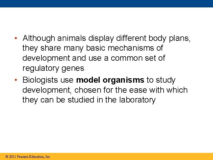  • Although animals display different body plans, they share many basic mechanisms of