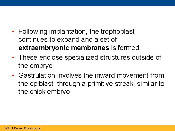  • Following implantation, the trophoblast continues to expand a set of extraembryonic membranes