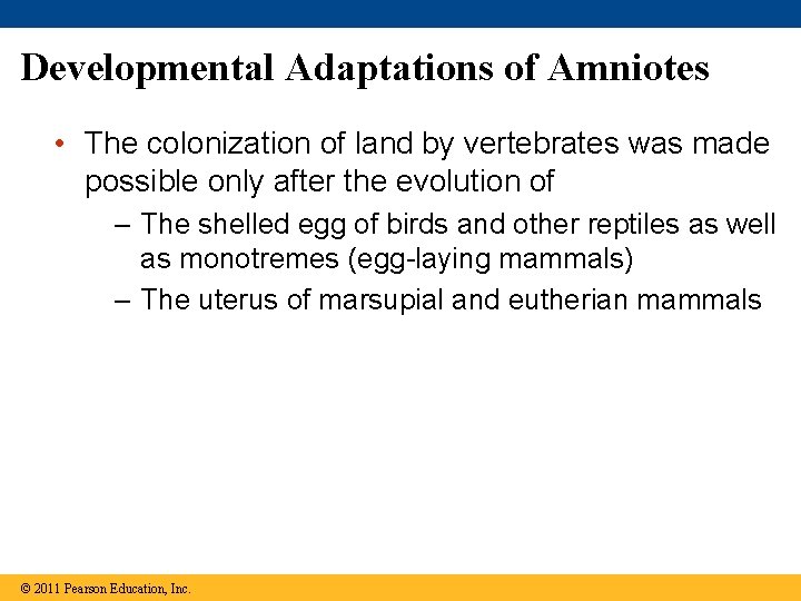 Developmental Adaptations of Amniotes • The colonization of land by vertebrates was made possible