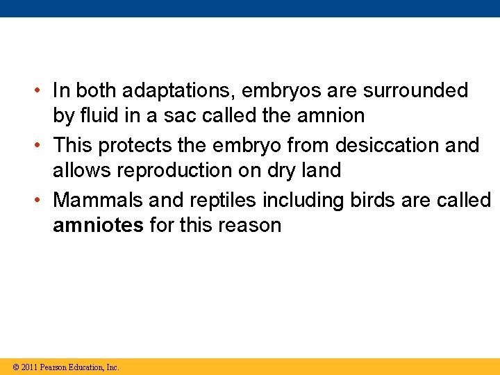  • In both adaptations, embryos are surrounded by fluid in a sac called