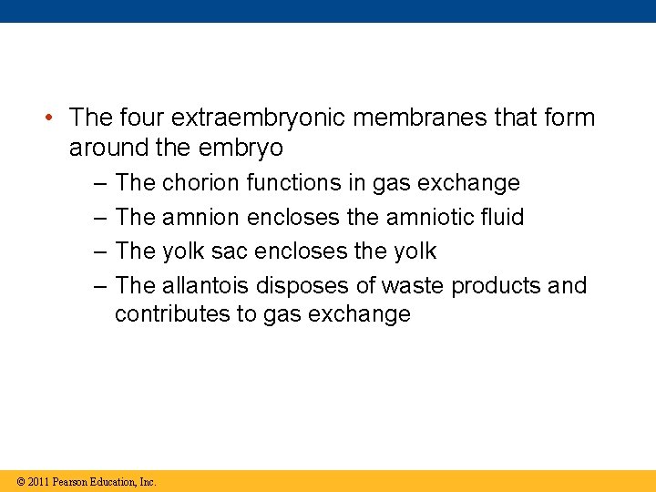  • The four extraembryonic membranes that form around the embryo – – The