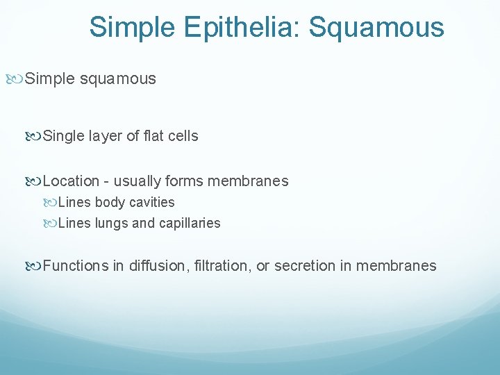 Simple Epithelia: Squamous Simple squamous Single layer of flat cells Location - usually forms