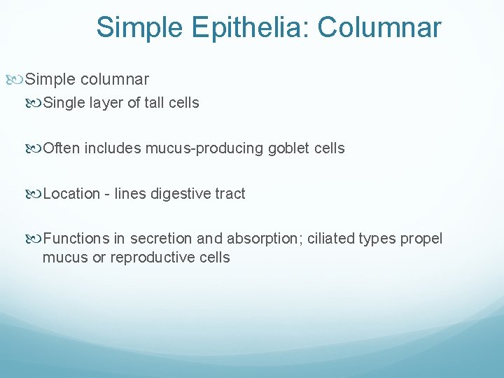 Simple Epithelia: Columnar Simple columnar Single layer of tall cells Often includes mucus-producing goblet Simple Epithelia: Columnar Simple columnar Single layer of tall cells Often includes mucus-producing goblet